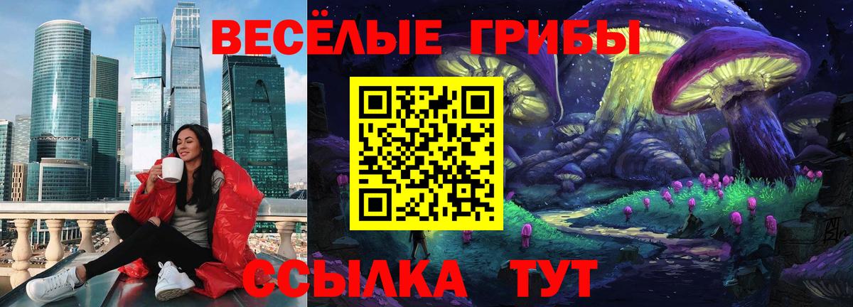 Галлюциногенные грибы Psilocybe  Вход с VPN  Евпатория 