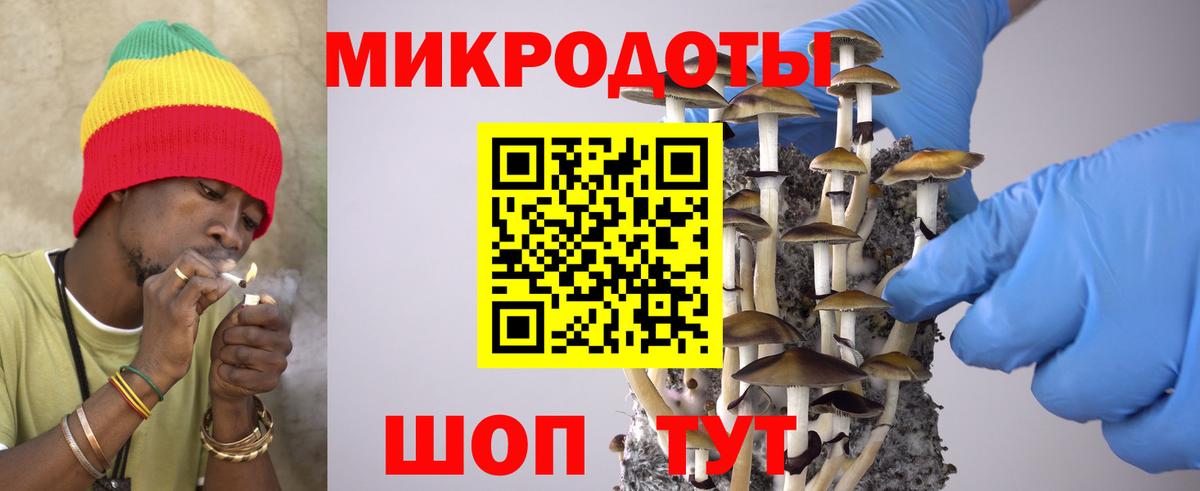 Галлюциногенные грибы мицелий Евпатория